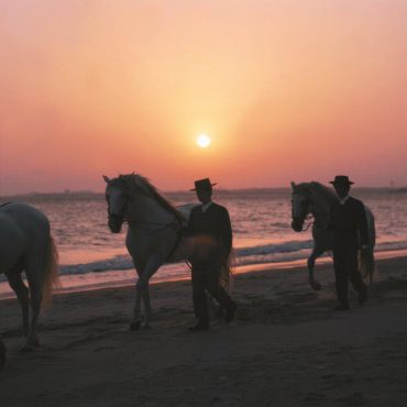 Strand en Zee