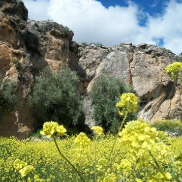 Sierra de Grazalema en de Witte Dorpen