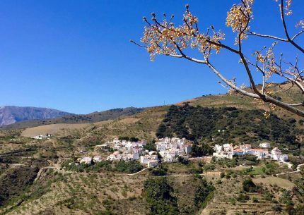 polopos ons spaanse dorp andalusie rondreizen